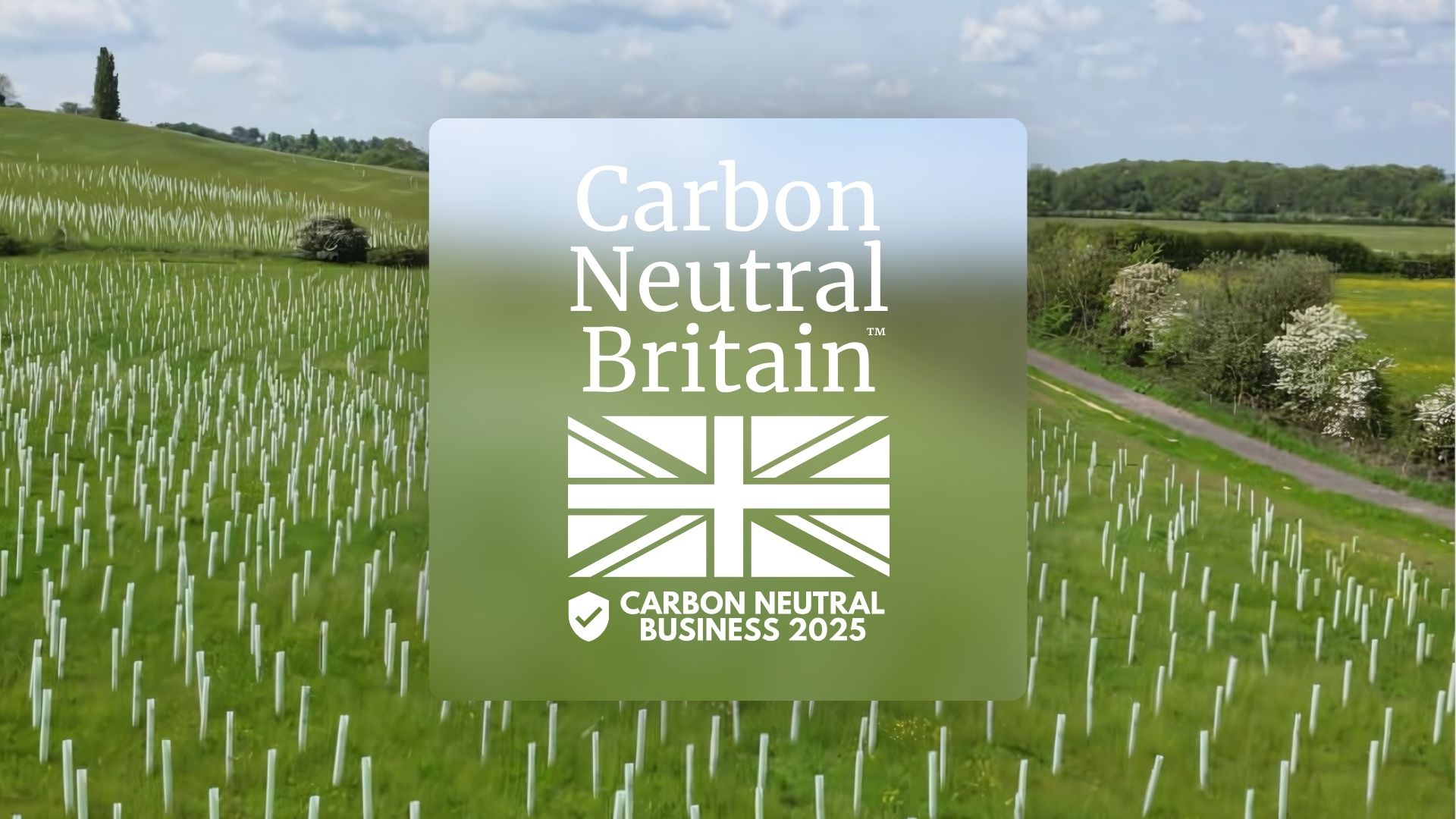 Carbon Neutral blog image (2)